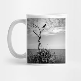 a lone crow in a dead tree on the Swedish coast Mug